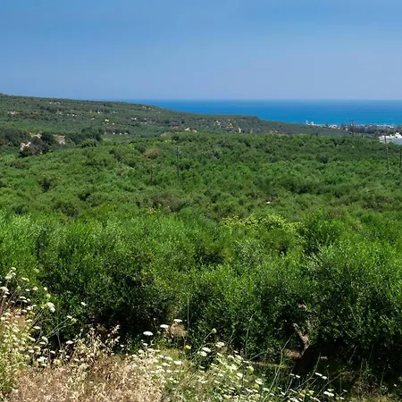 فيلة Idyllic *
